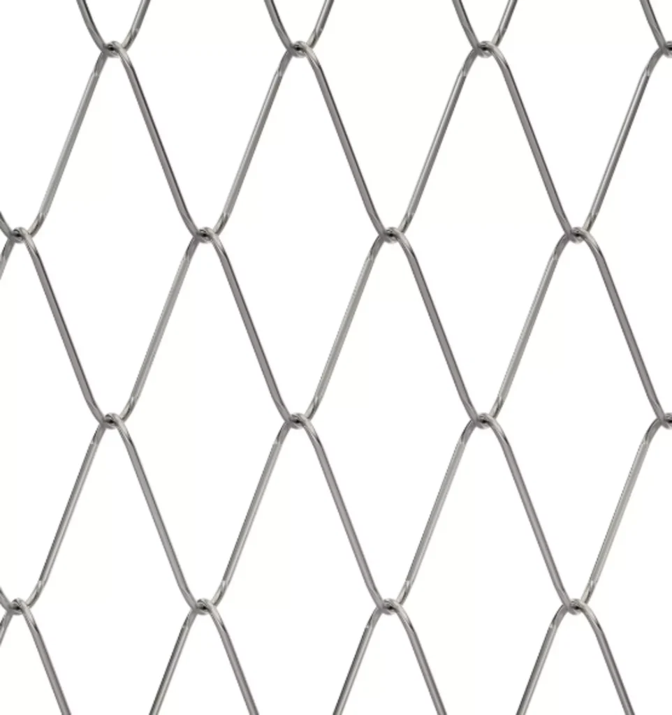 Close up mesh model Gaudi R50